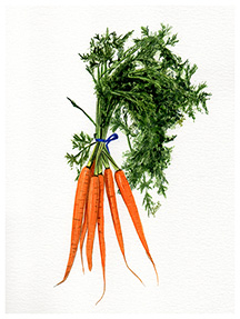 Carrots