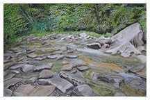 The Whispering Smokies