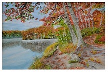 Virginia Landscape
