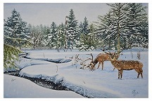 Surviving the Winter