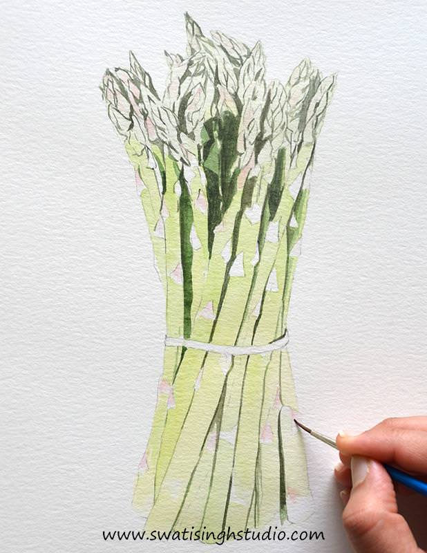 C:\Users\HOME\Desktop\Asparagus\blog\Asparagus_6.jpg