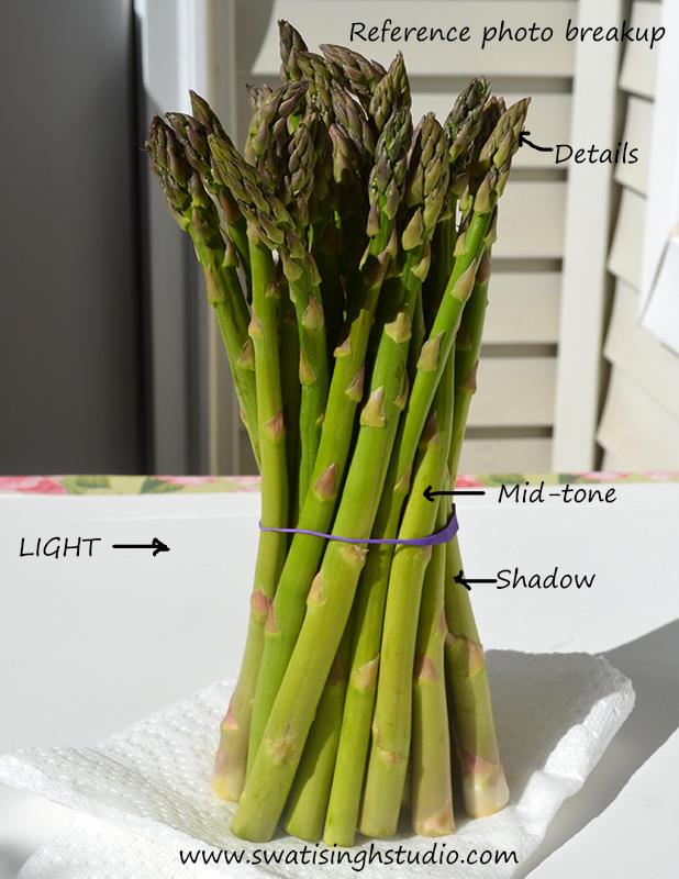 C:\Users\HOME\Desktop\Asparagus\blog\Asparagus_reference.jpg