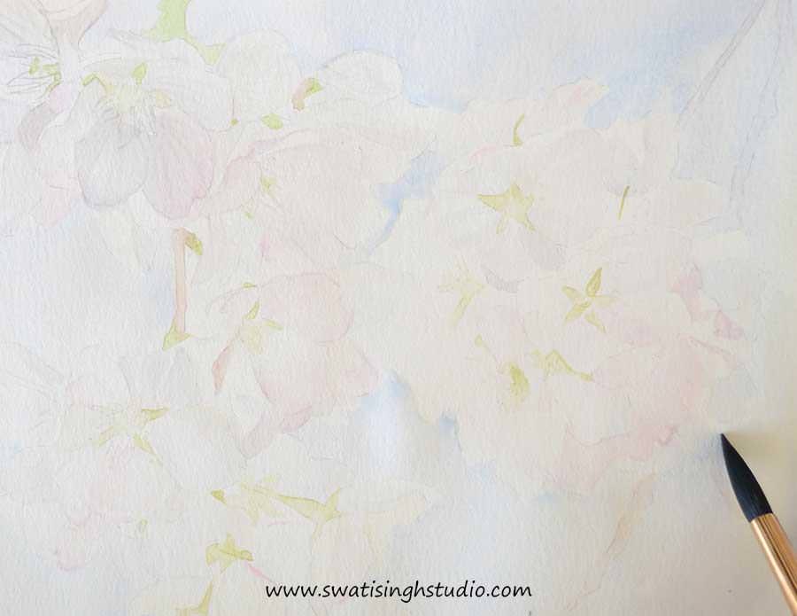 C:\Users\HOME\Desktop\Blog\Cherry_blossom_spring_5.jpg