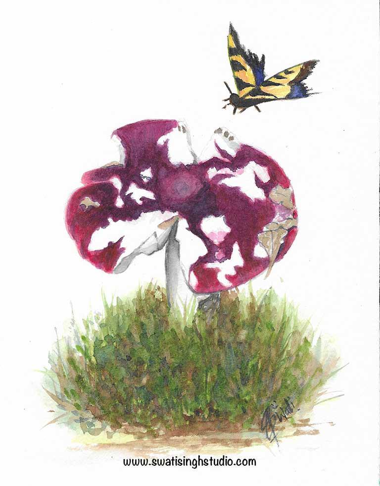 Picture 28