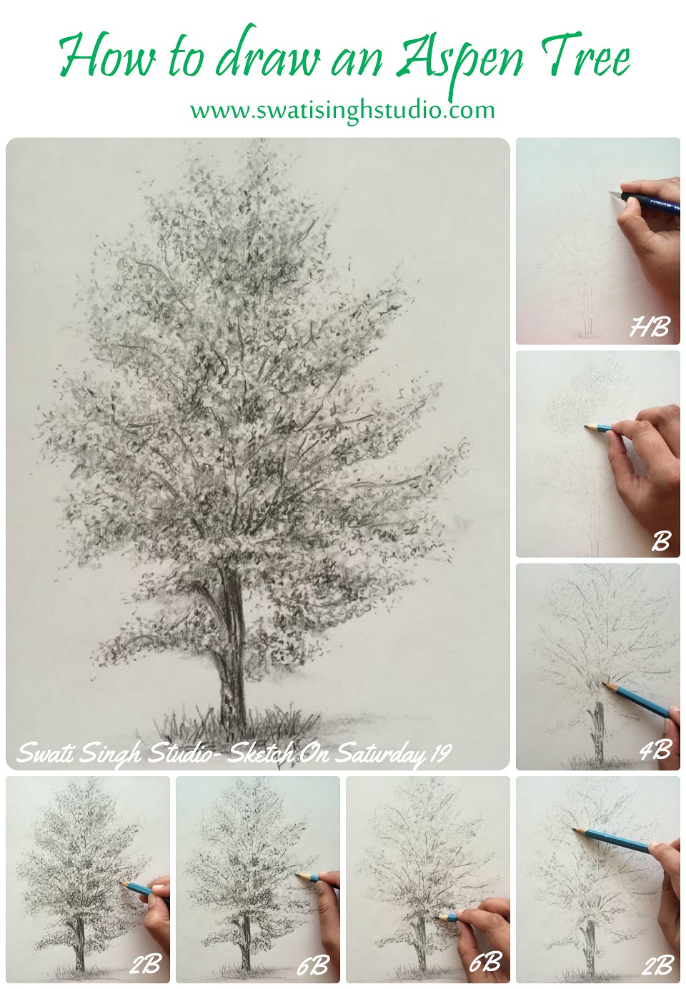 Aspen Tree Drawing by Margo Washburn - Pixels
