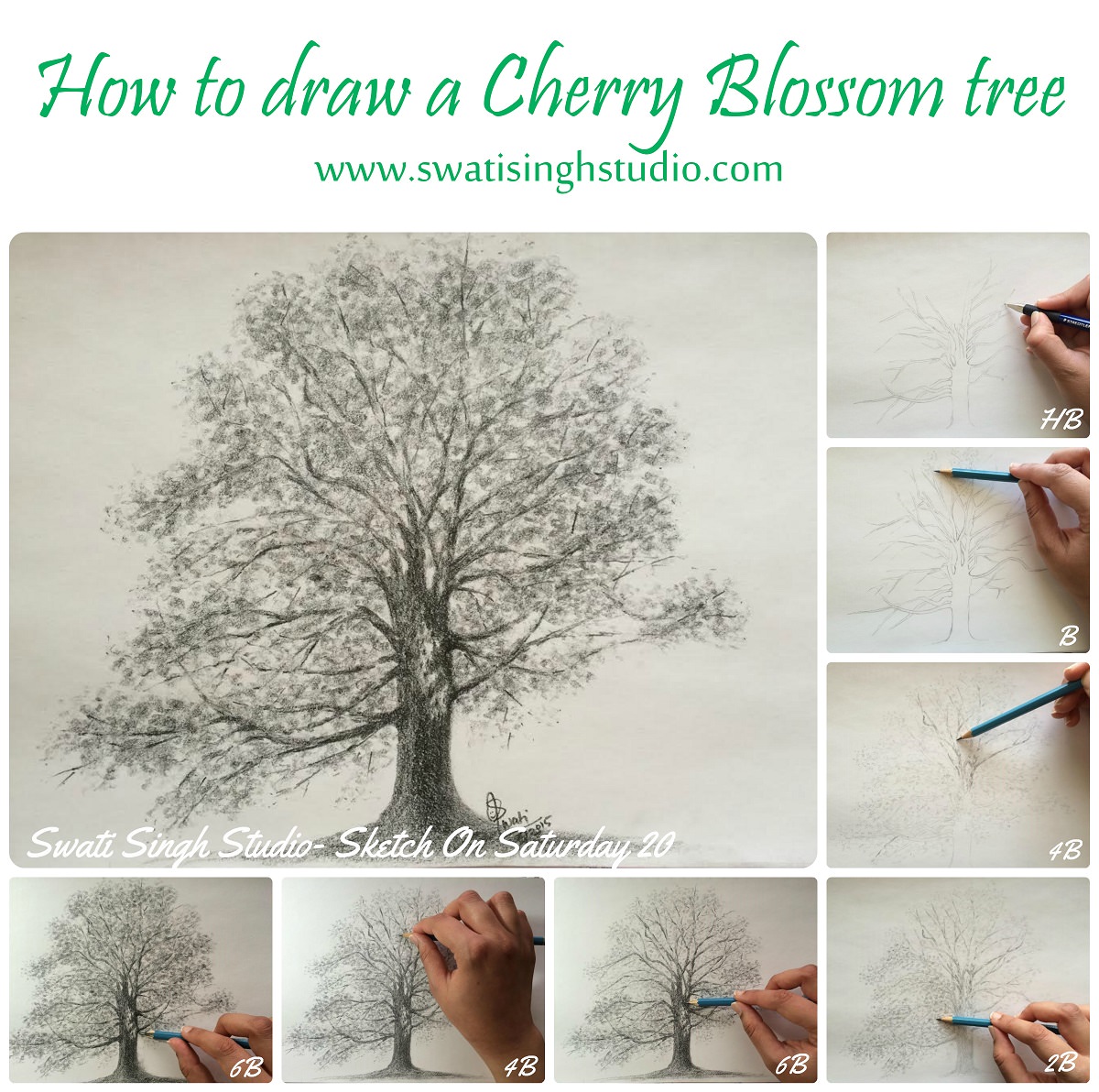 Lets Drawing a Cherry Blossom Tree  For beginner   YouTube