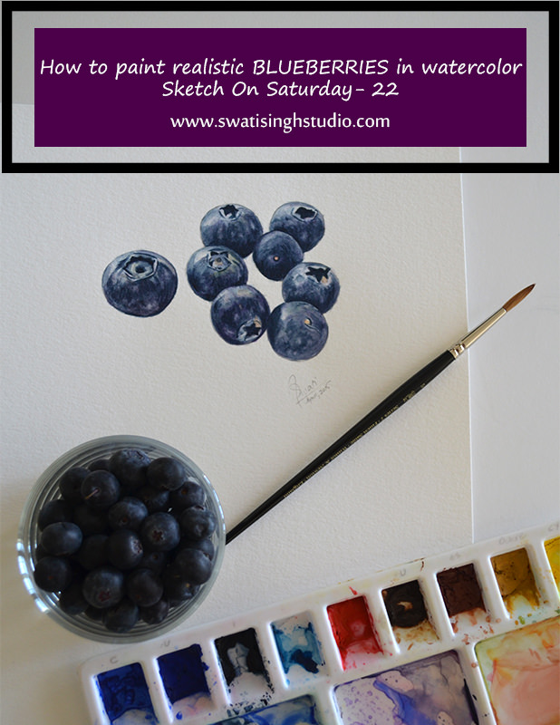 Blueberries Tutorial  Coloured pencils  STEP BY STEP ART