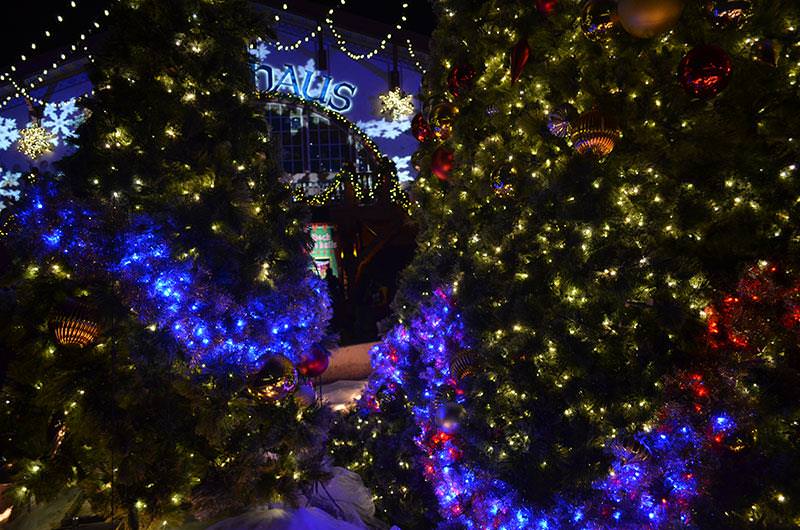 C:\Users\HOME\Desktop\2017\busch_gardens_2.jpg