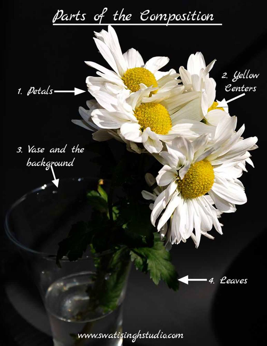 ../../Daisy%20part%201%20blog%20images/daisy_composition_part1.jpg