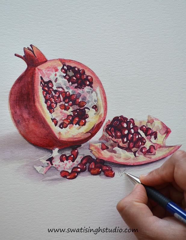 Pomegranate drawing Outline Drawing Images, Pictures