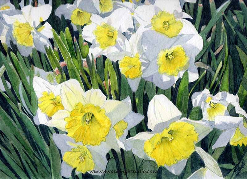 C:\Users\HOME\Desktop\daffodils\spring_daffodils_11.jpg