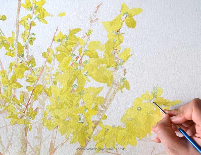 C:\Users\HOME\Desktop\blog\spring_forsythia_8.jpg