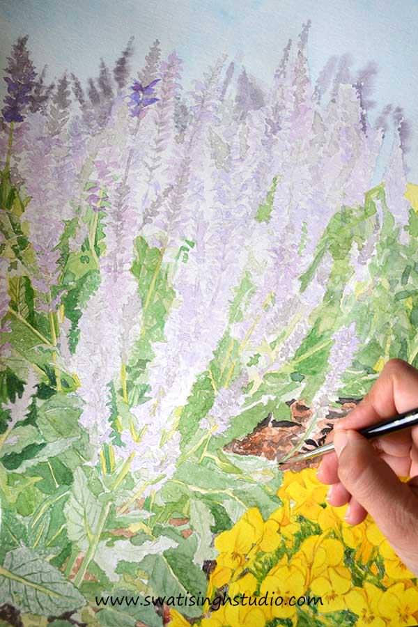 C:\Users\HOME\Desktop\blog\spring_salvia_may_night_8.jpg