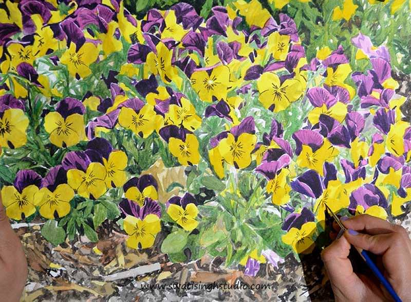 C:\Users\HOME\Desktop\blog\spring_violas_13.jpg