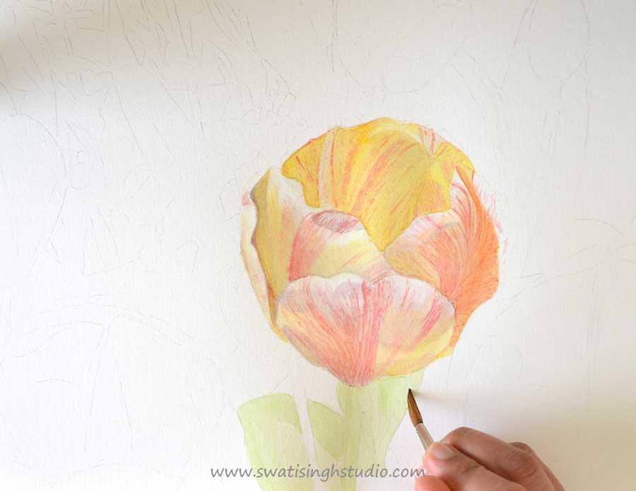 C:\Users\HOME\Desktop\blog\tulip_watercolor_7.jpg