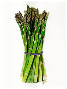 Asparagus