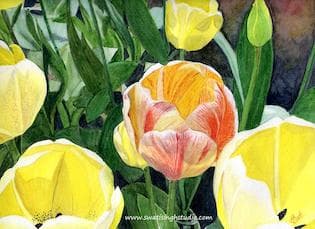 How to paint tulips in watercolours- spring