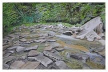 The Whispering Smokies