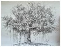 Banyan Tree