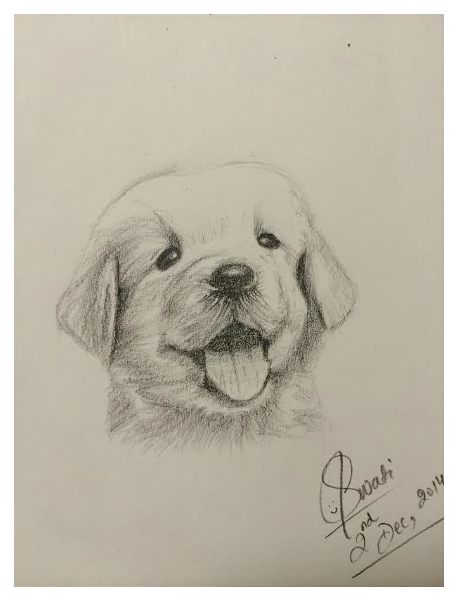 Graphite pencil portrait of a smiling puppy