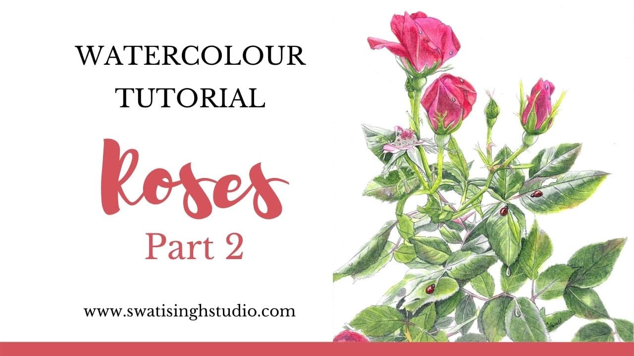 Roses Part 2