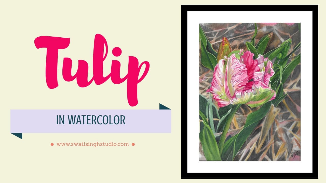 Parrot tulip in watercolours