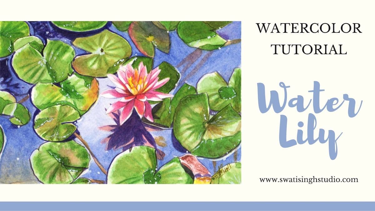 Water Lily in watercolor